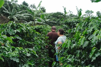 Reviving Costa Rica's Coffee Traditions