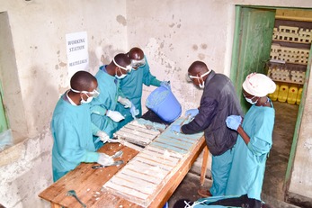 Isuku Soap making to combat neglected tropical diseases, improve education and increase household incomes