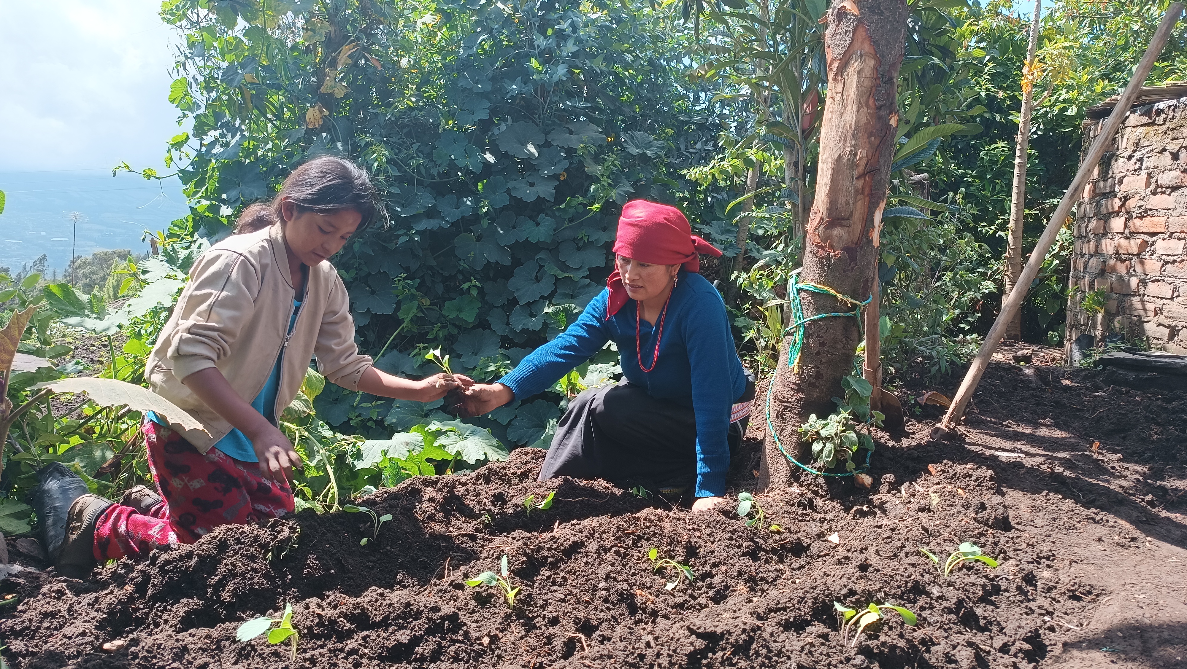 Tarpuy: Strengthening Andean Chakras and Family and Peasant Food Sovereignty Project