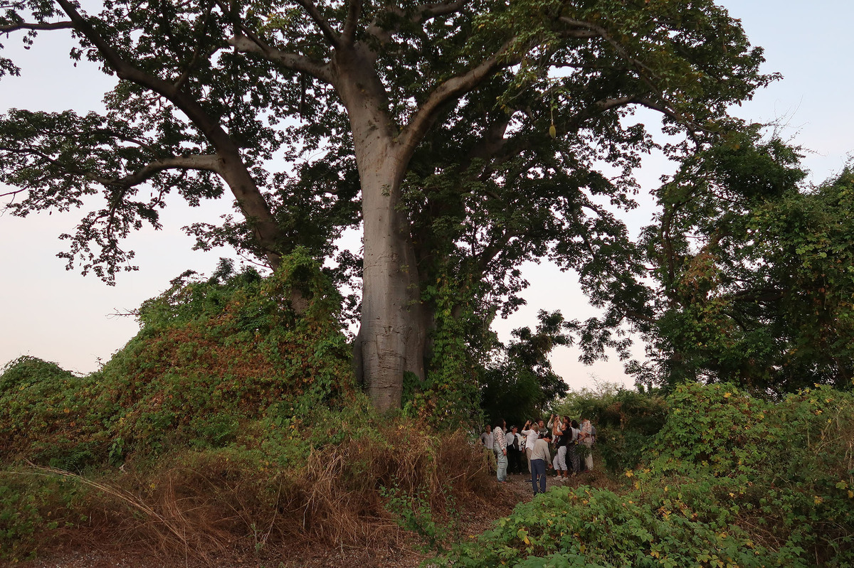 senegal-26